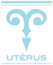 美容室ユテリスのホームページを開設しました！｜美容室UTERUSユテリス